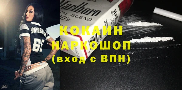 индика Пестово