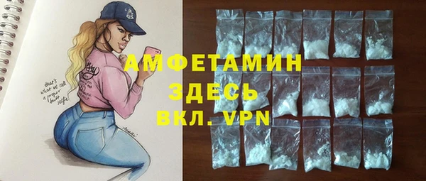 меф Пересвет