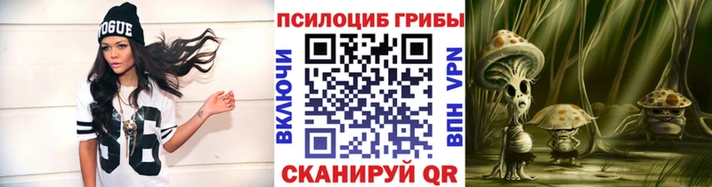 ОМГ ОМГ вход  Игра  Псилоцибиновые грибы MAGIC MUSHROOMS 